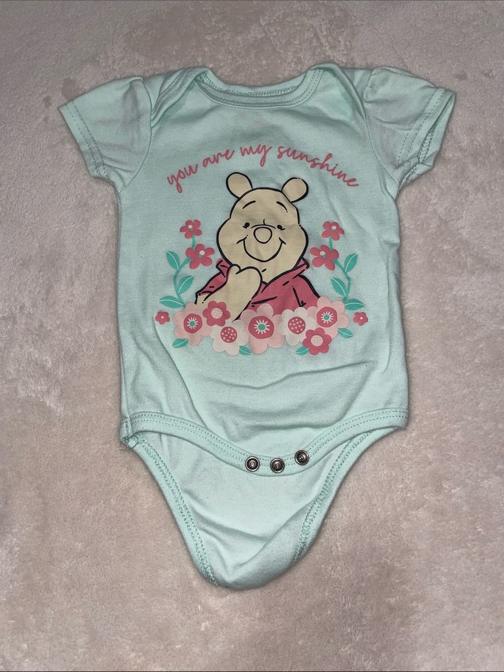 Disney Winnie the Pooh Mint One-Piece with Pink Floral Graphic